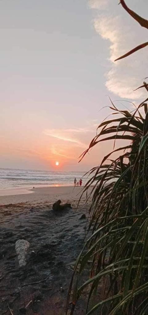 ماتارا Lion Paradise Surf Beach المظهر الخارجي الصورة