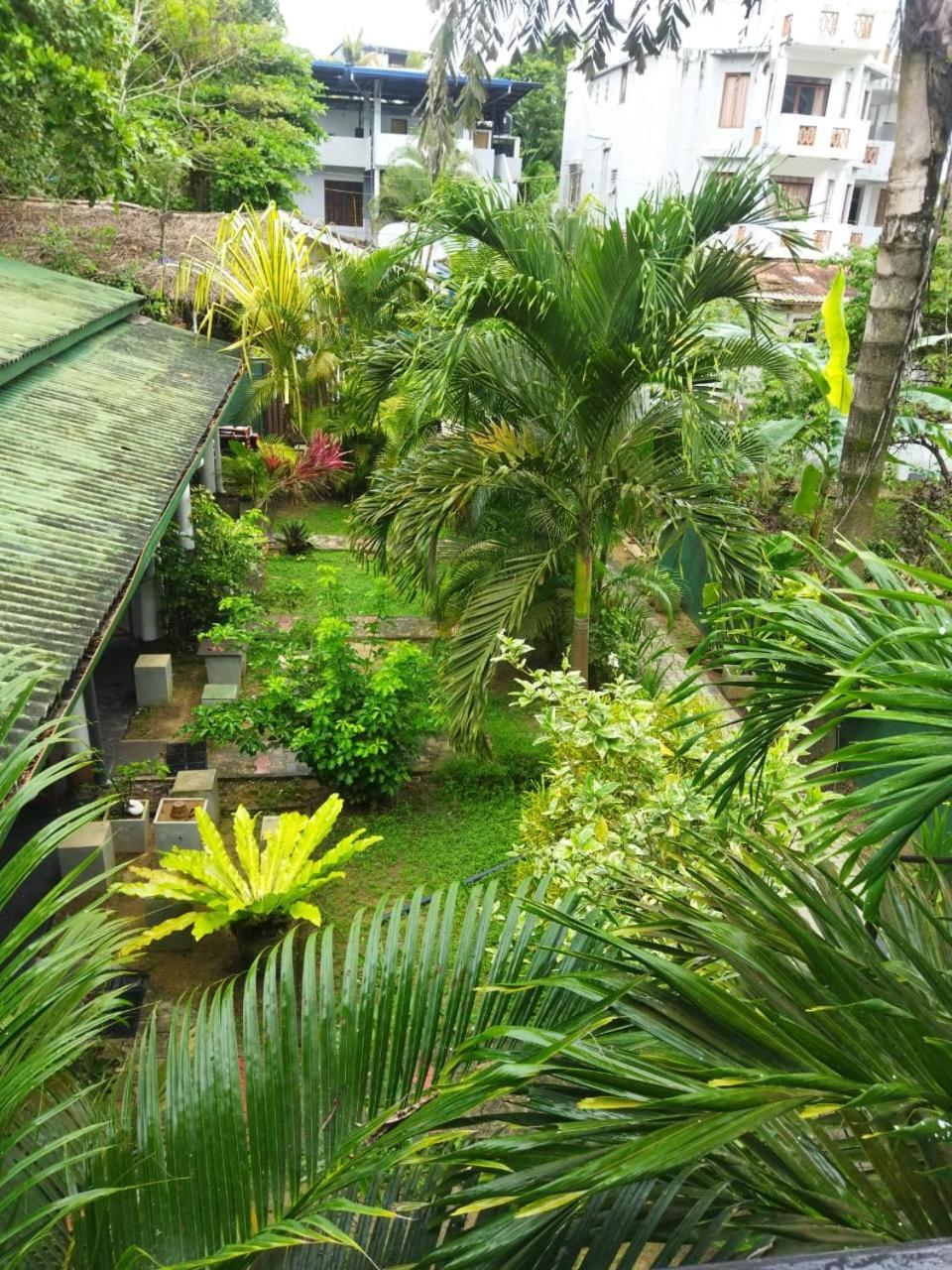 ماتارا Lion Paradise Surf Beach المظهر الخارجي الصورة