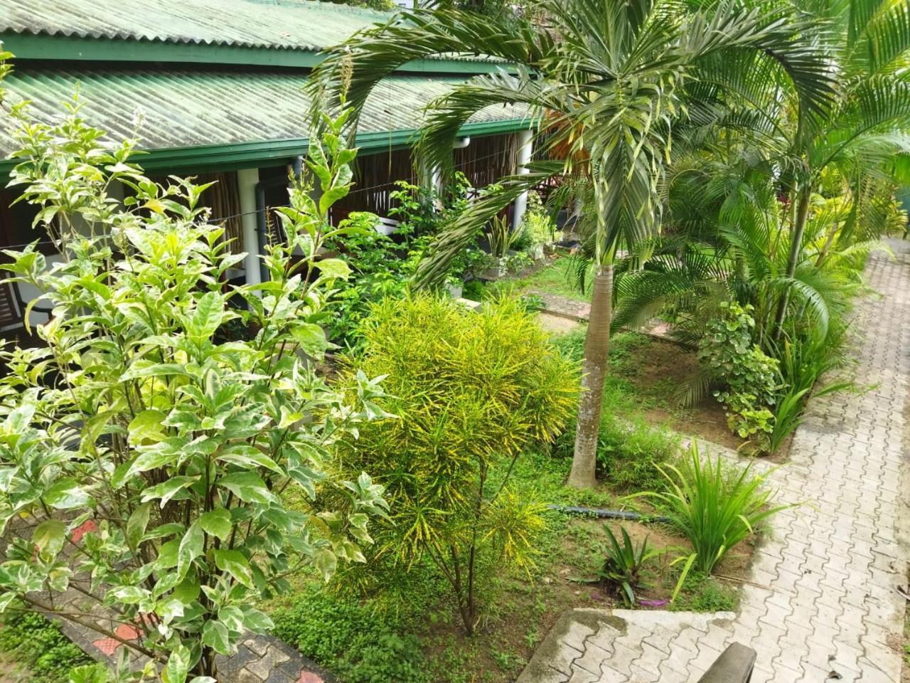 ماتارا Lion Paradise Surf Beach المظهر الخارجي الصورة